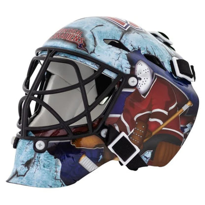 Mini NHL Goalie Helmet