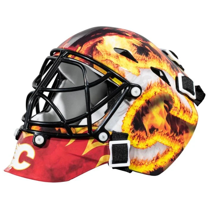 Mini NHL Goalie Helmet