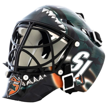 Mini NHL Goalie Helmet