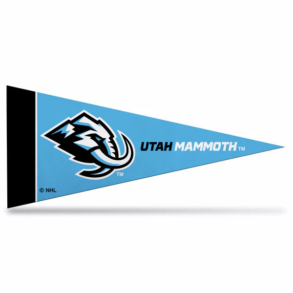NHL Mini Felt Team Pennants 4"x9"