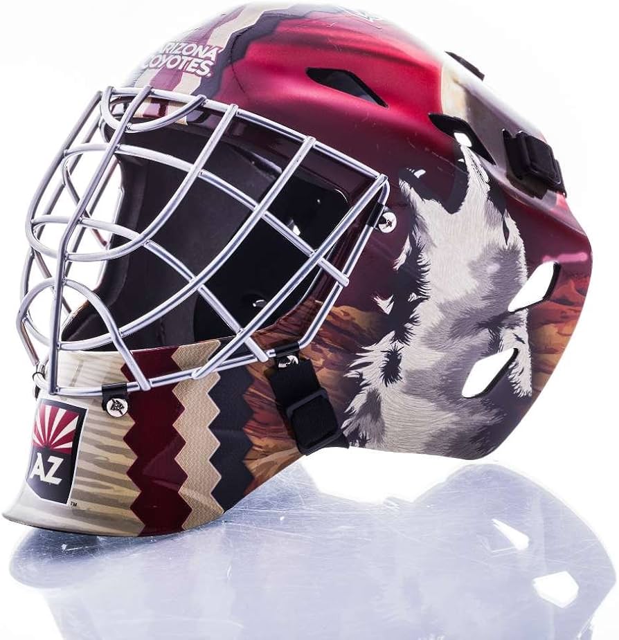 Franklin GFM 1500: NHL® Team Goalie Helmet