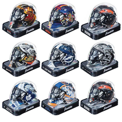 Mini NHL Goalie Helmet